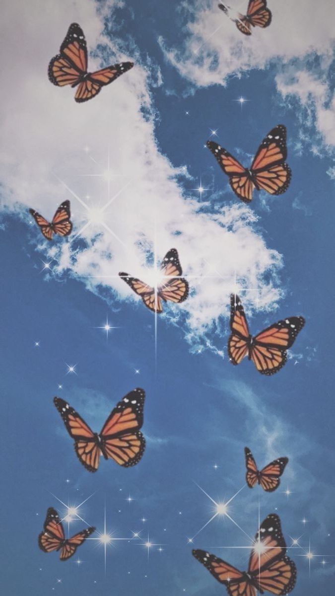A group of butterflies flying in the sky - Butterfly