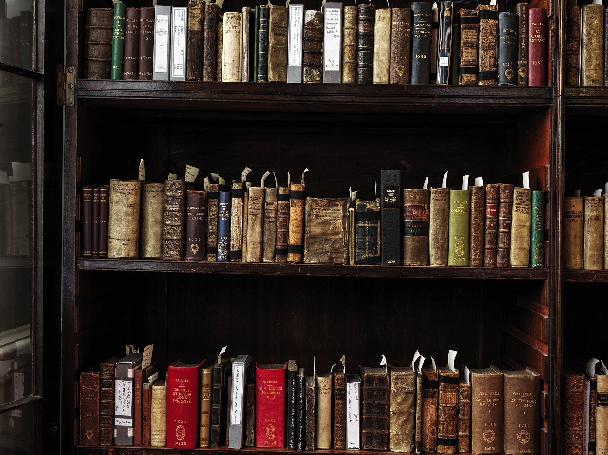 A book shelf with many books on it - Library