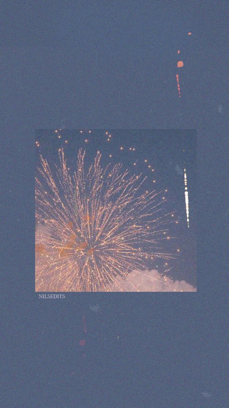 Fireworks in the sky - New Year