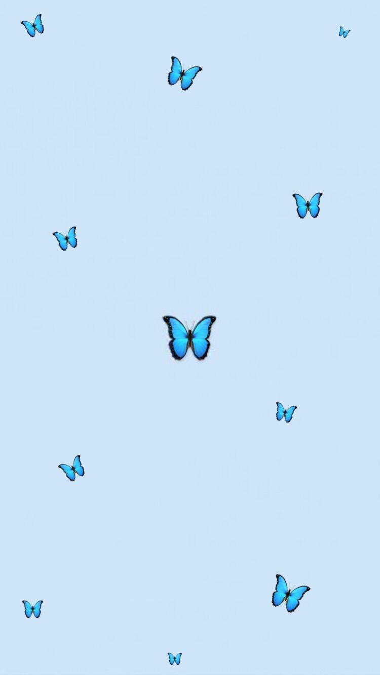 Blue Butterfly Wallpaper Aesthetic, Buy Now, Store, 60% OFF