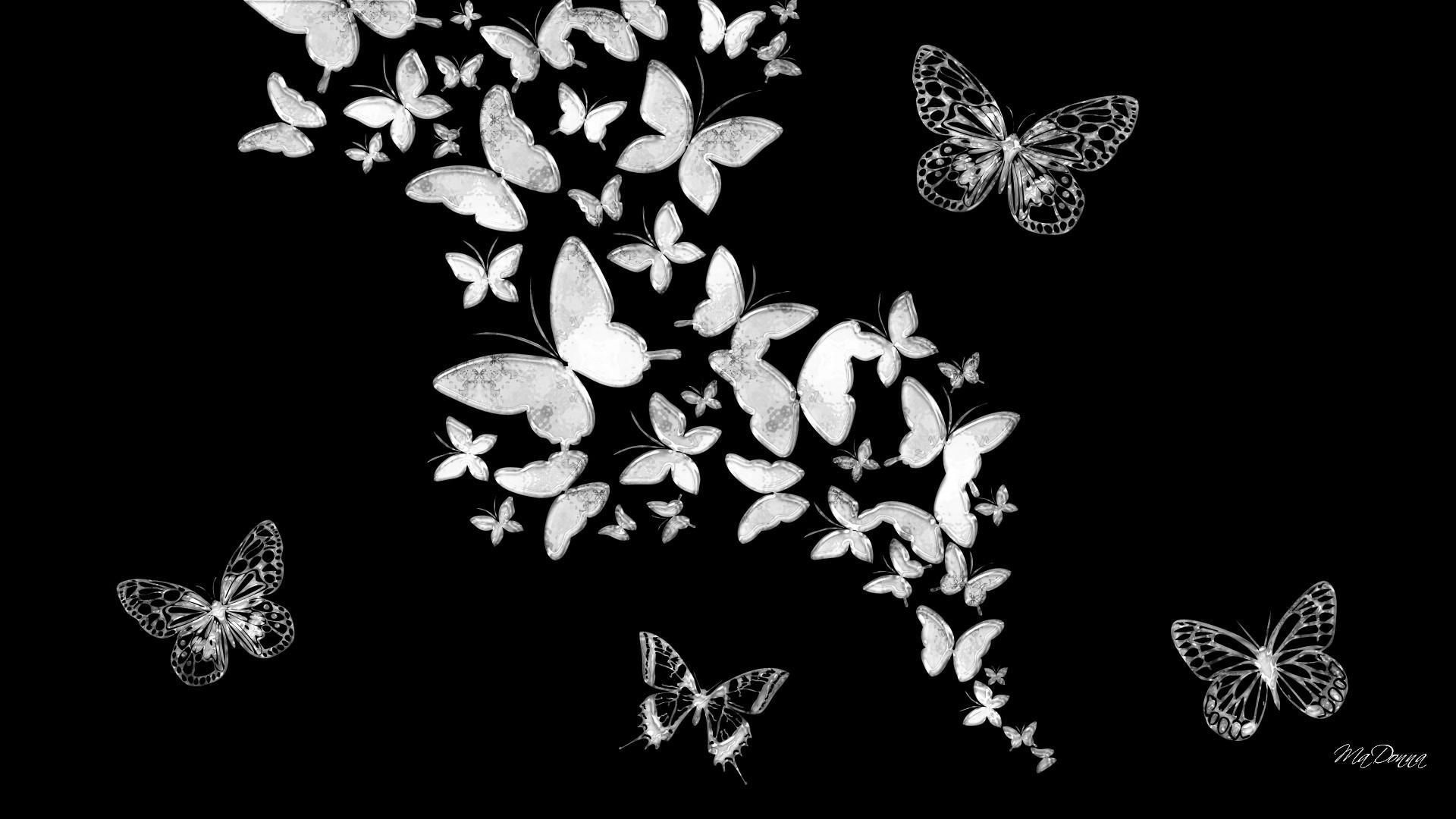 Aesthetic Butterfly Background HD