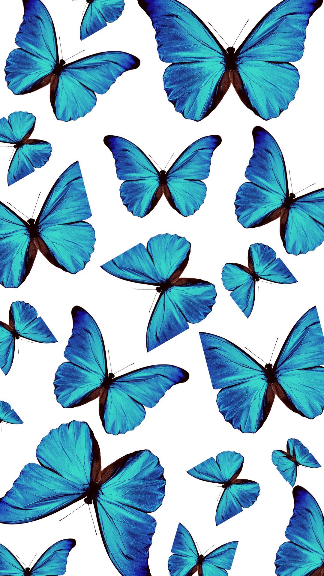Free download Blue Aesthetic Wallpaper Blue butterfly wallpaper Butterfly [1080x1920] for your Desktop, Mobile & Tablet. Explore Cute Cartoon Butterfly Wallpaper. Cute Cartoon Wallpaper, Cute Butterfly Background, Cute Cartoon Wallpaper
