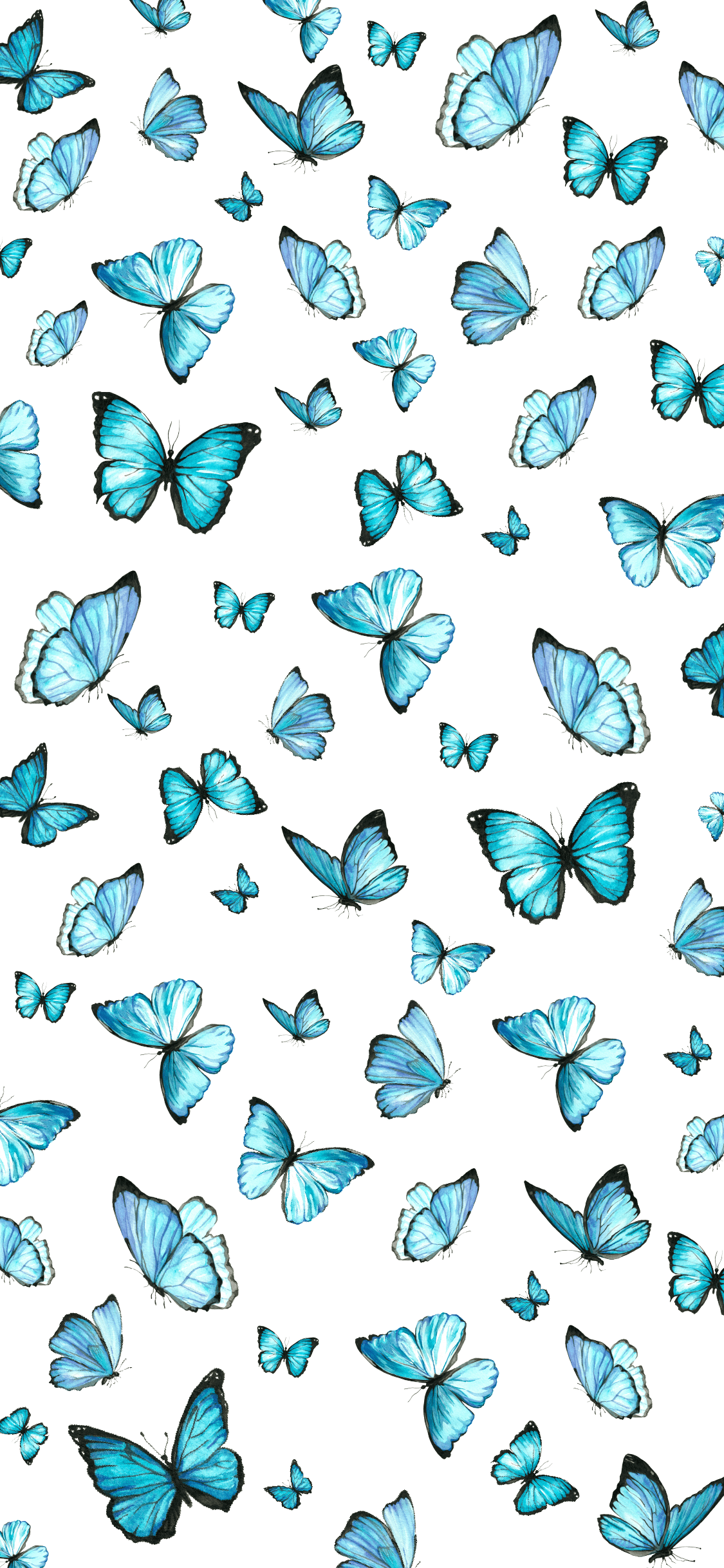 A pattern of blue butterflies on white - Butterfly