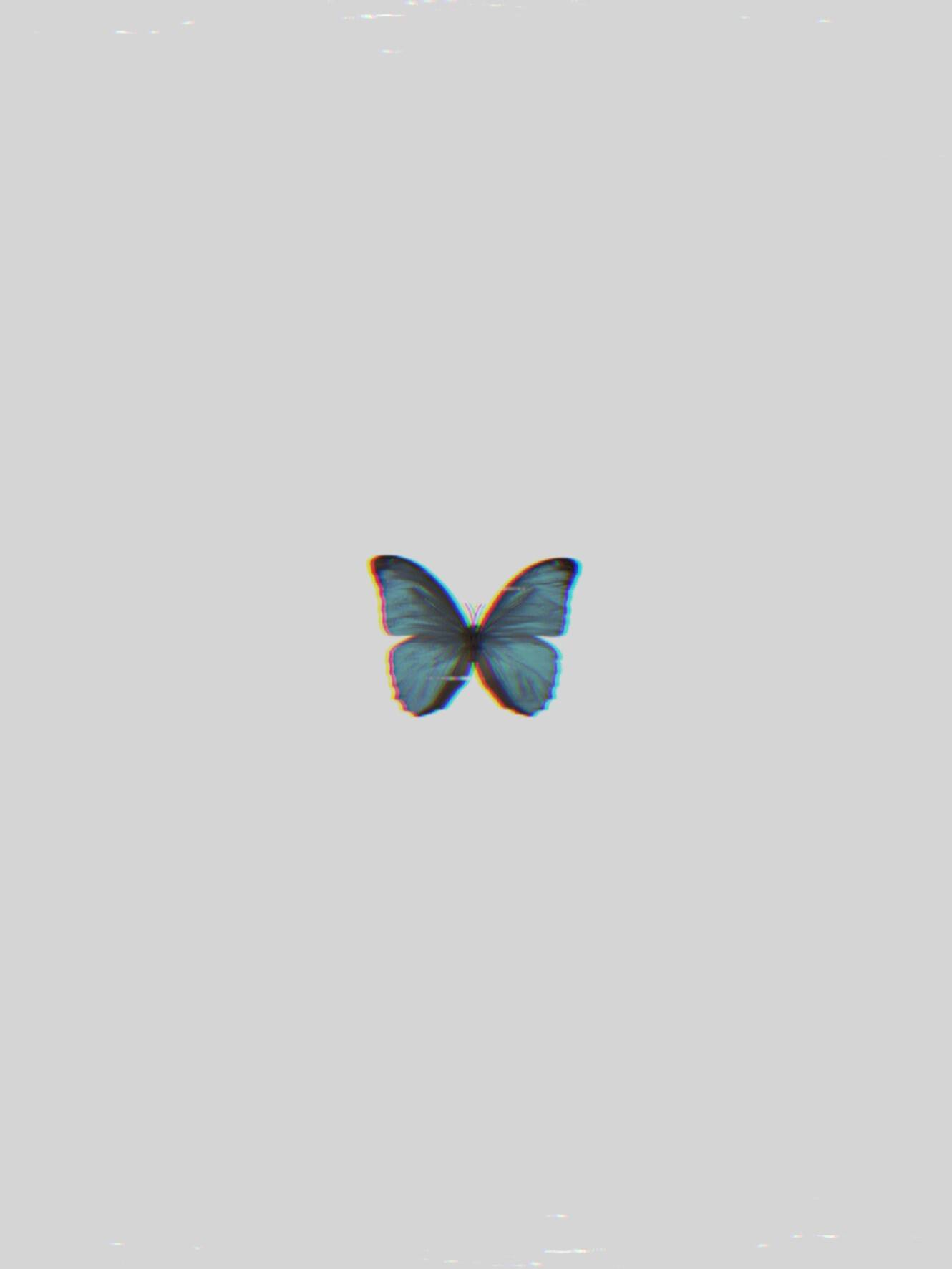 A blue butterfly is on the screen - Butterfly