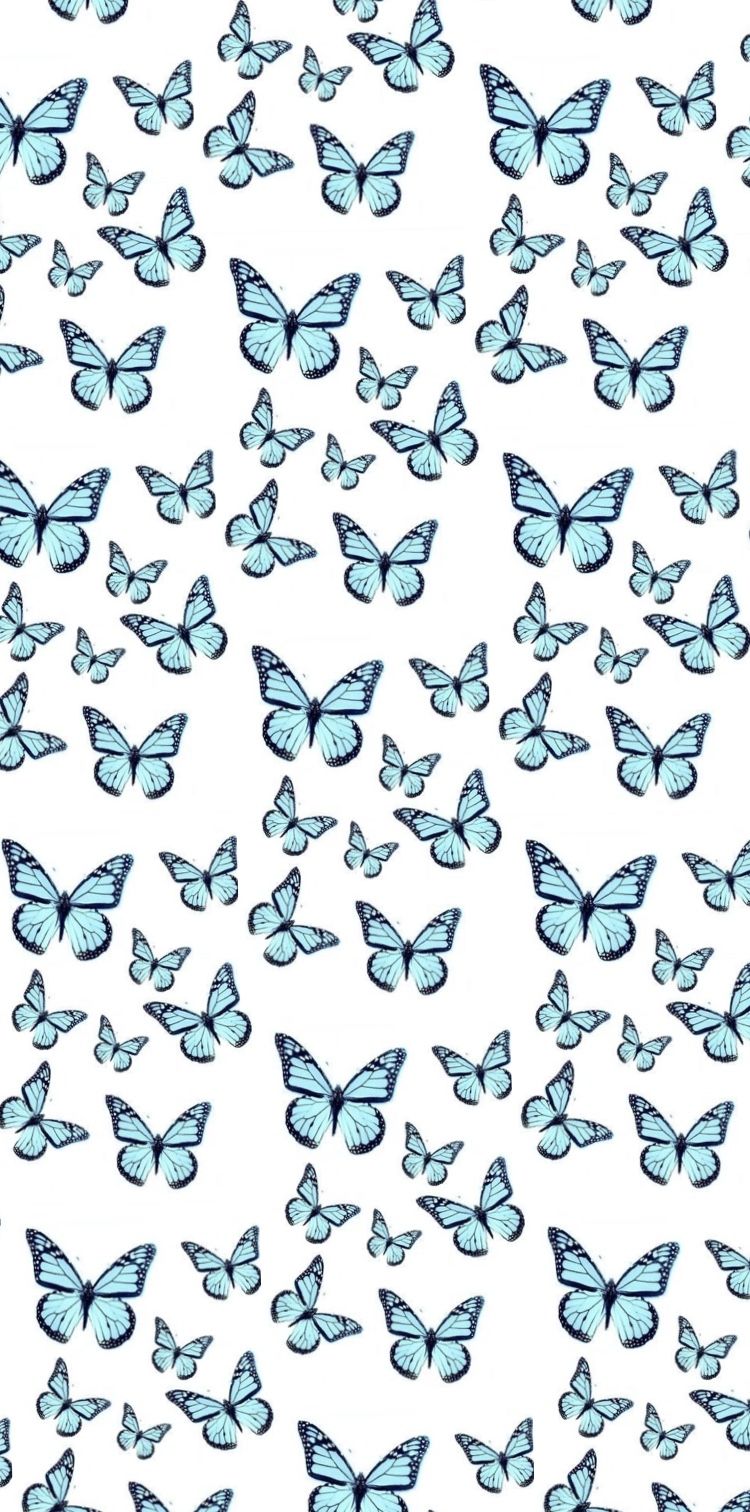 Blue butterfly wallpaper, aesthetic background, for phone and desktop - Butterfly