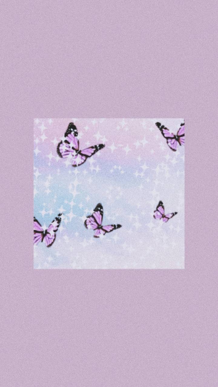 Aesthetic wallpaper purple butterfly  - Butterfly