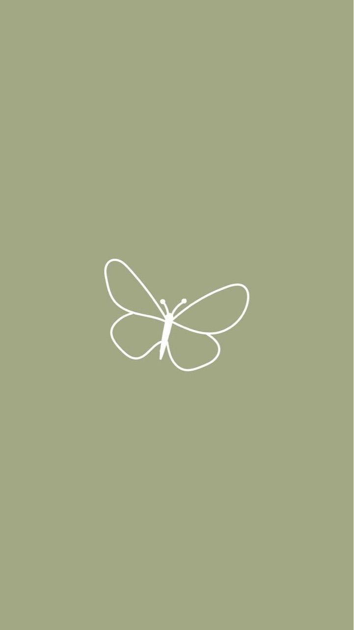 Line drawing of a butterfly on a green background - Butterfly