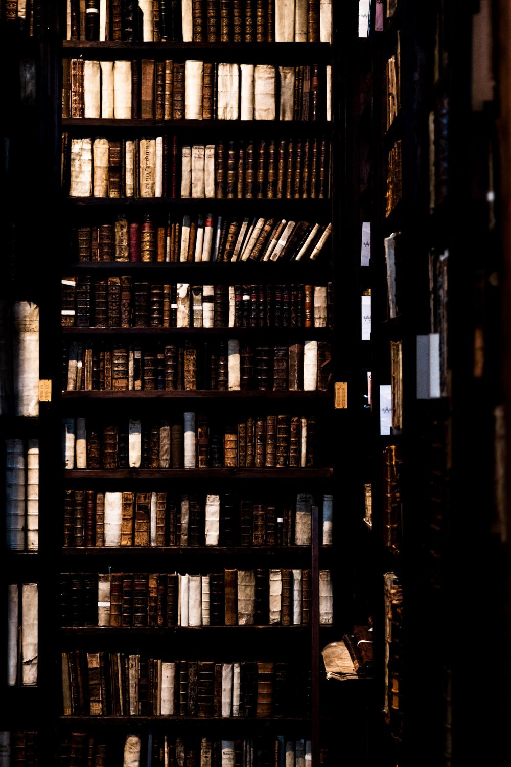 A book shelf with many books on it - Dark academia, bookshelf, library, light academia, architecture