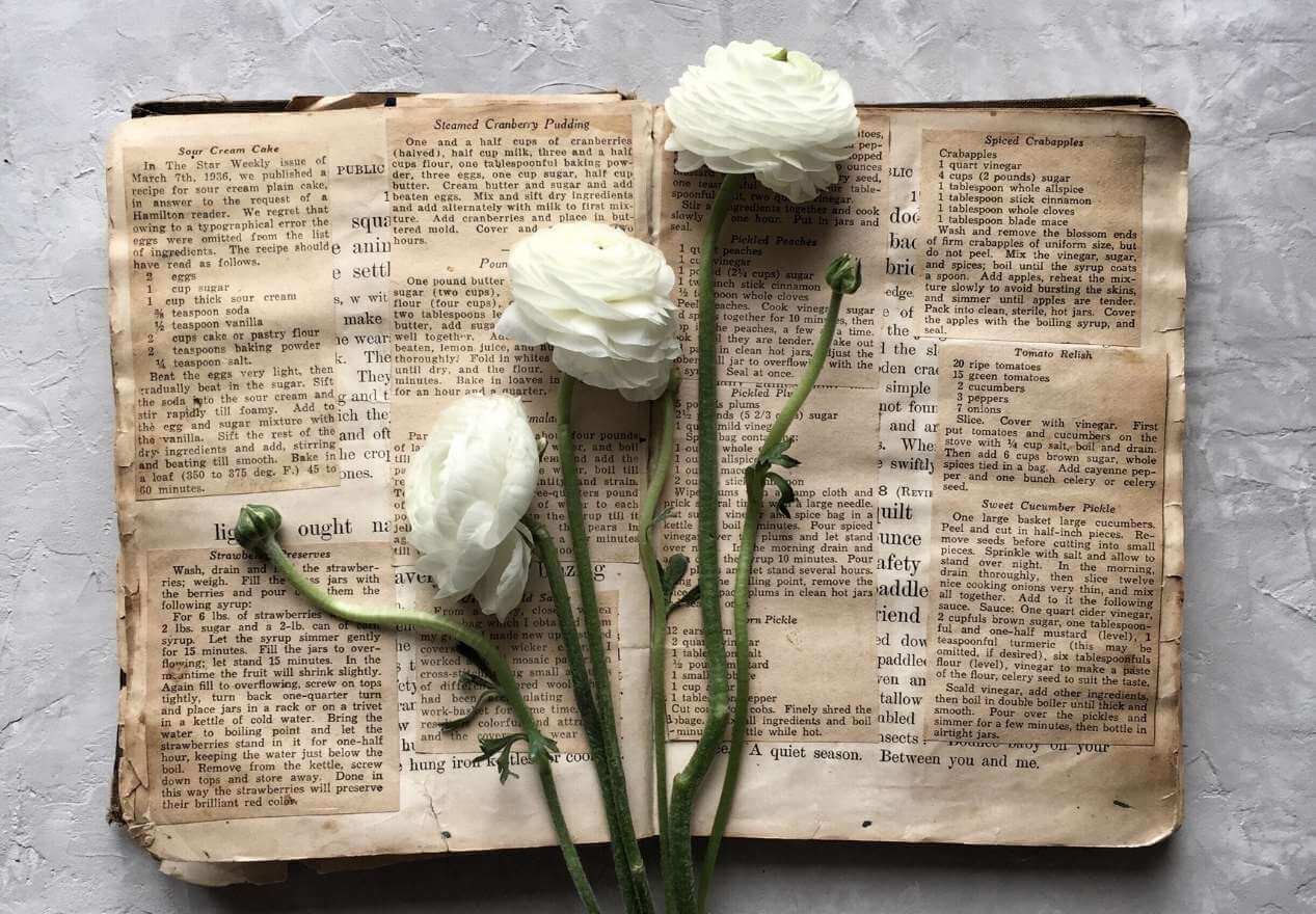 Aged book with white flowers on top. - Light academia, dark academia