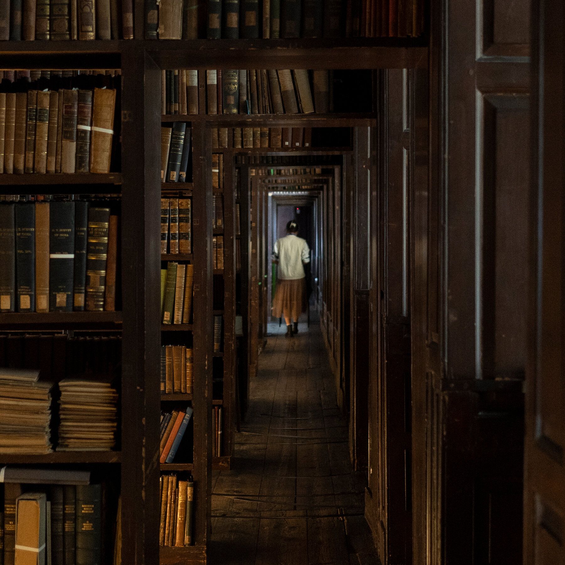 A woman in a white shirt and brown skirt stands in a darkened library. - Dark academia