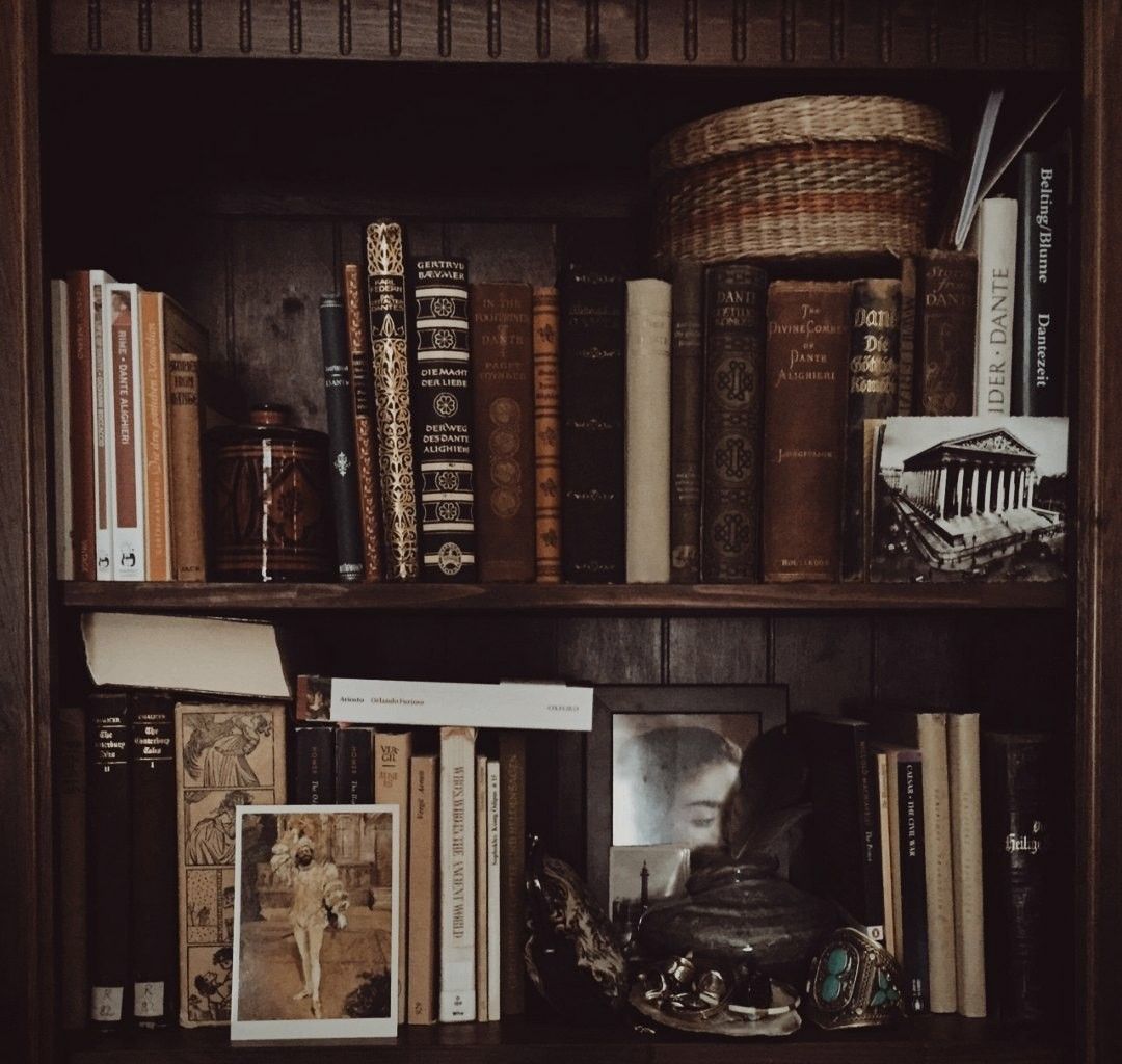 A book shelf with many books on it - Dark academia