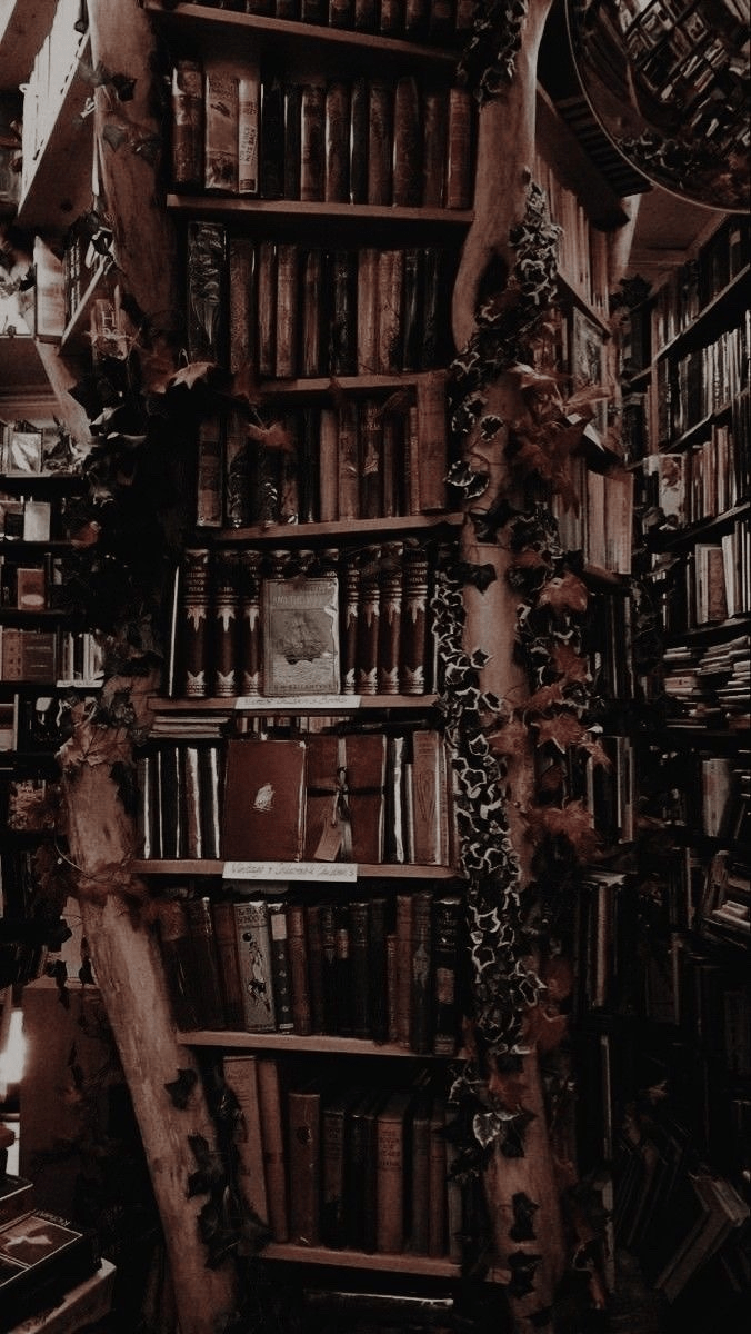 A bookshelf with many books and ivy climbing the walls. - Dark academia