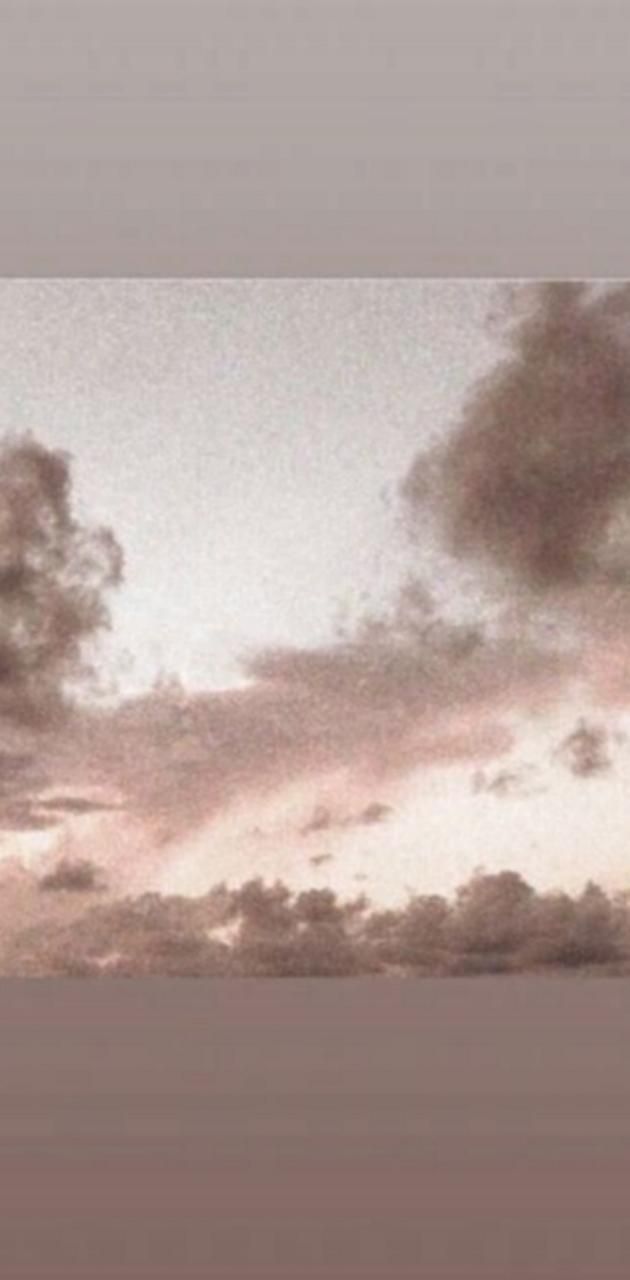 A cloudy sky with pink clouds and some birds - Vintage clouds