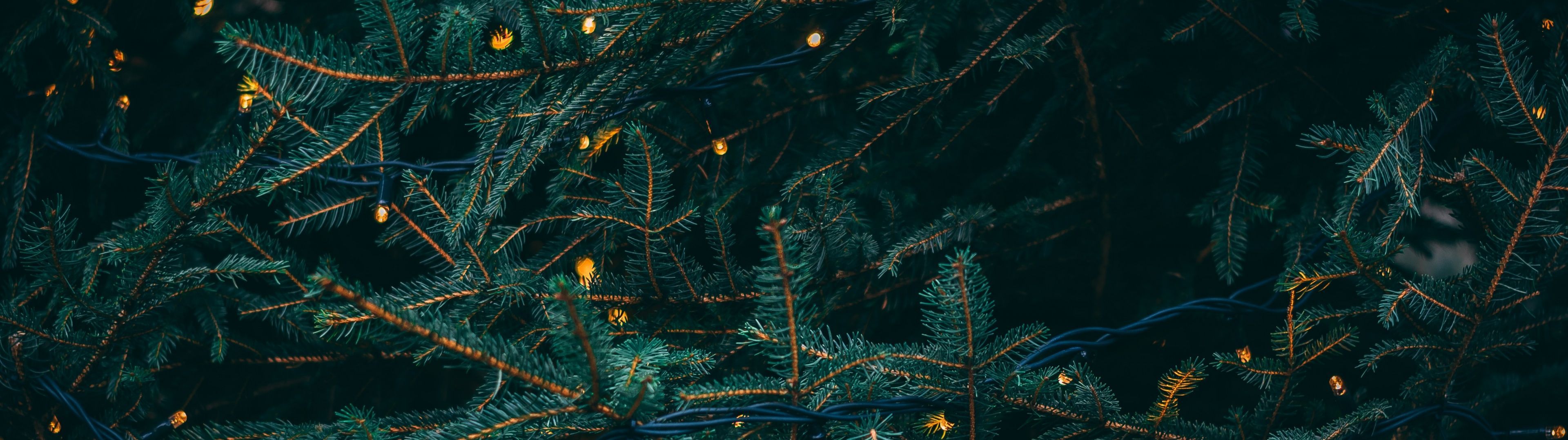 Pine Trees Wallpaper 4K, Decoration, LED Lights, Celebrations Christmas