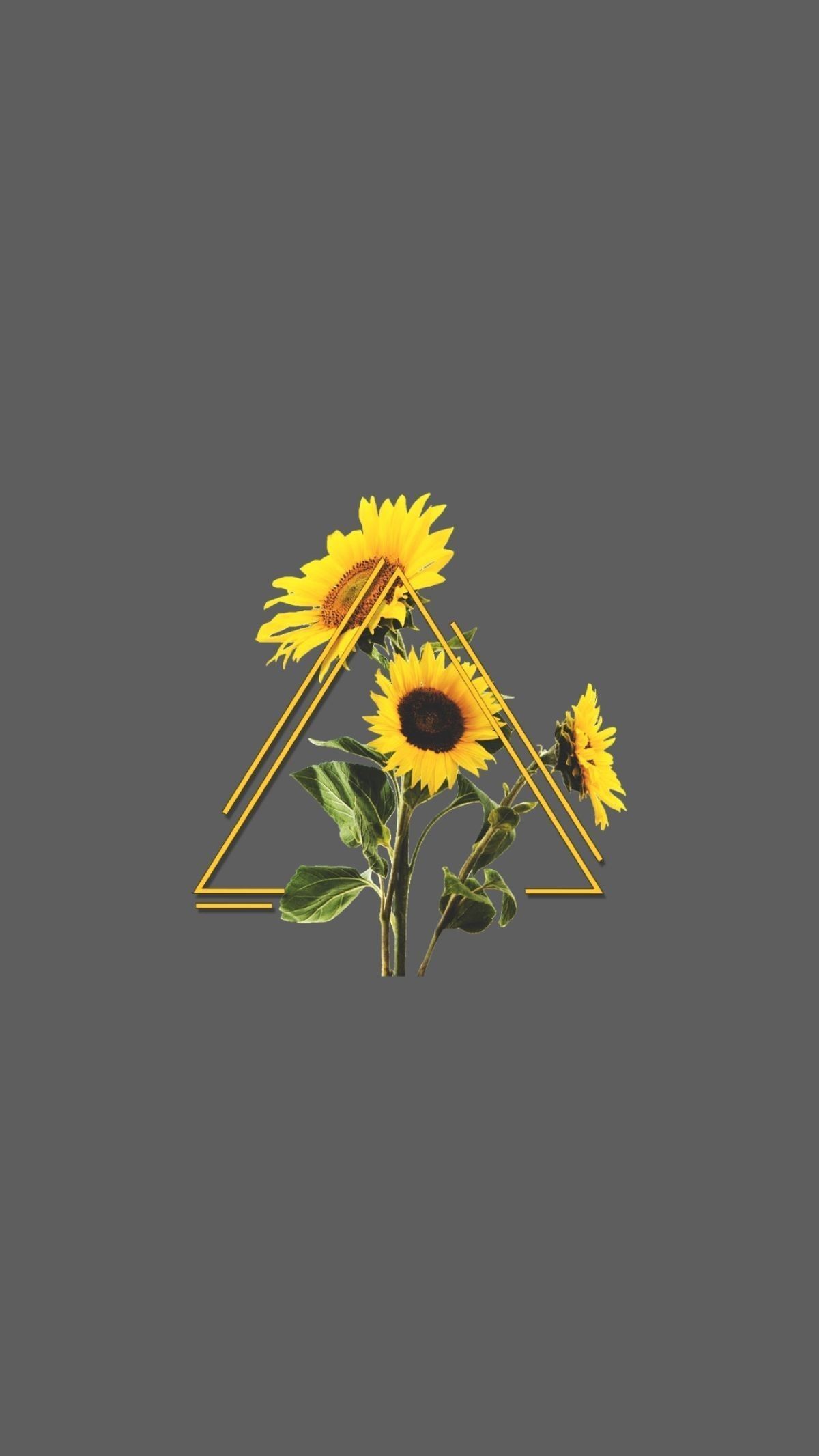 A sunflower logo with yellow flowers and triangle - Sunflower