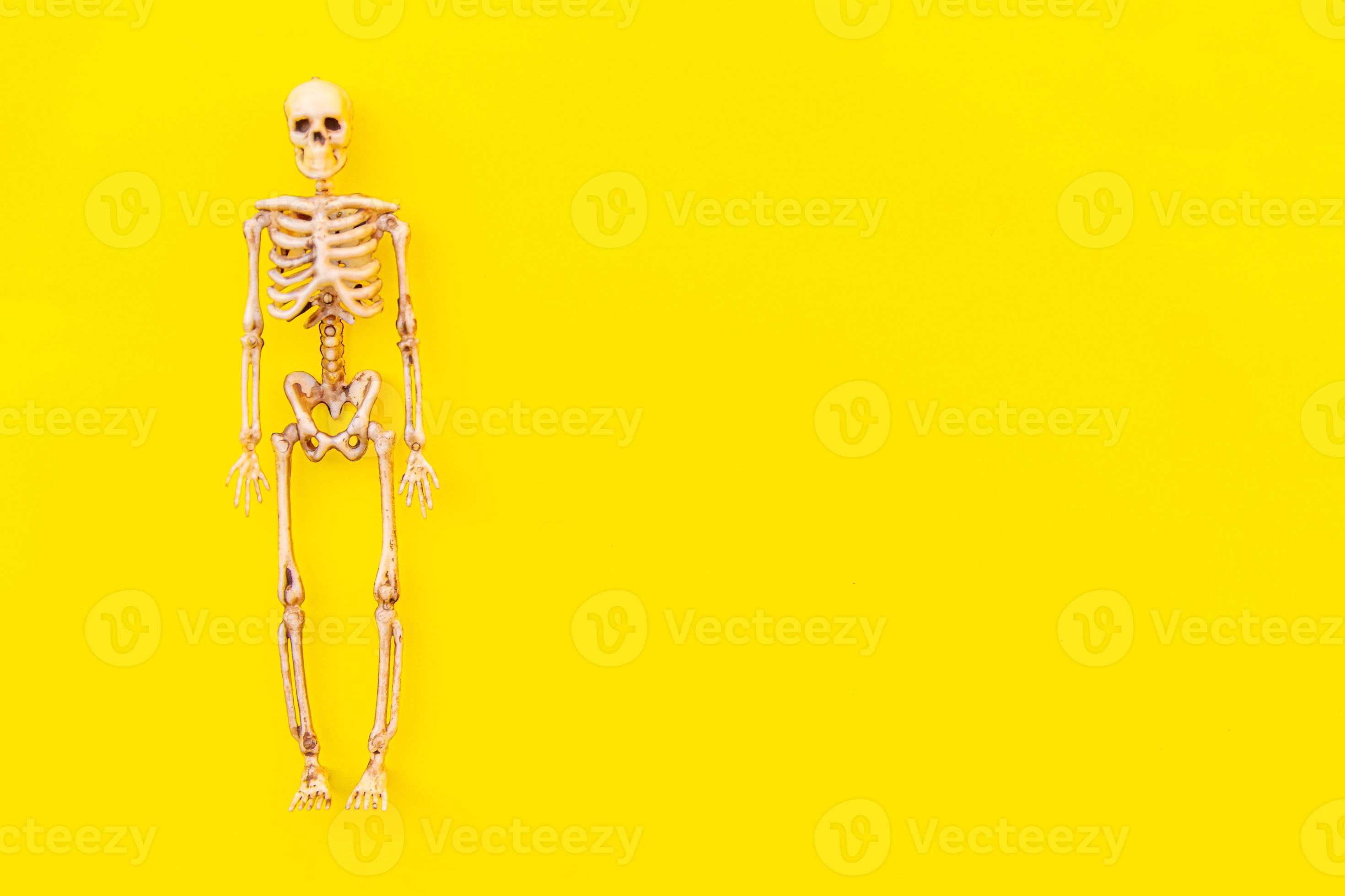 Halloween minimal decorations, composition with spooky skeleton monster isolated on yellow background. Halloween celebration trick or treat concept. Flat lay top view copy space