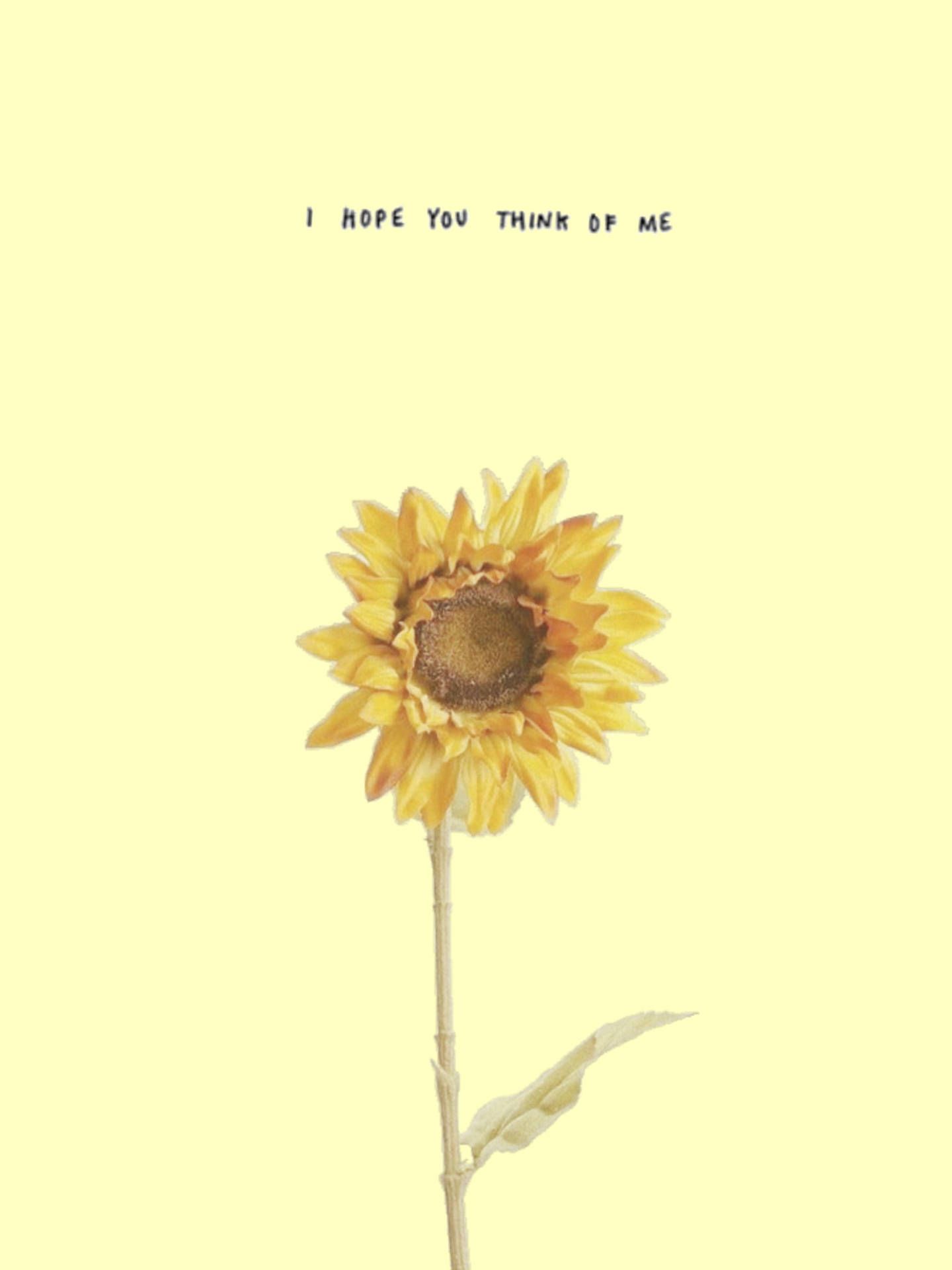 A yellow background with a yellow sunflower in the middle. The words 