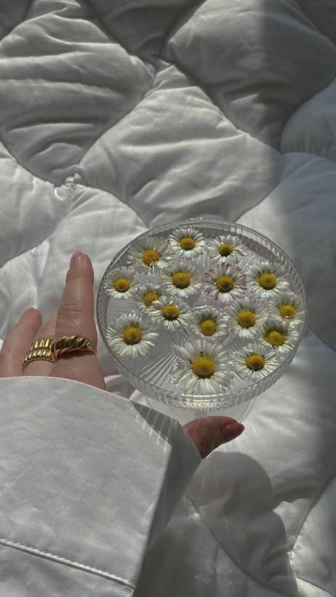 A hand with a gold ring holding a glass bowl of daisies. - Clean