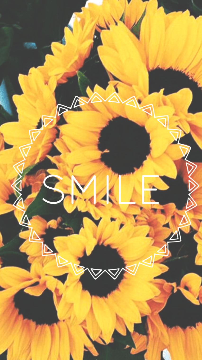 A yellow sunflower with the word smile in it - Sunflower, smile