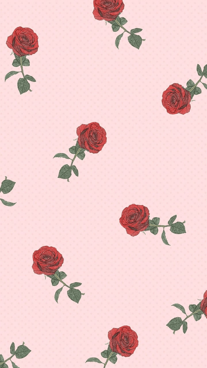 A pattern of red roses on pink background - Roses