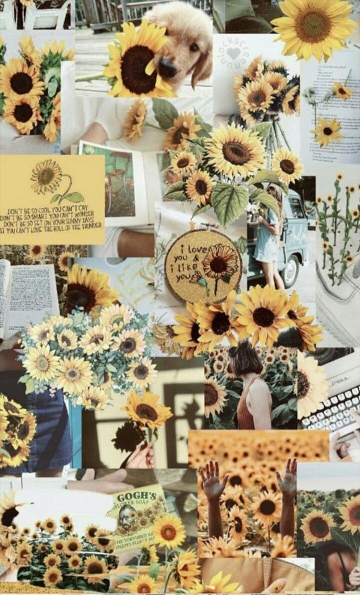 Sunflower Aesthetic Collage Wallpaper