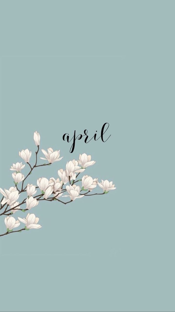 Wallpaper for phone, blue background, white flowers, blooming branch, march written in cursive, phone background for march - IPad