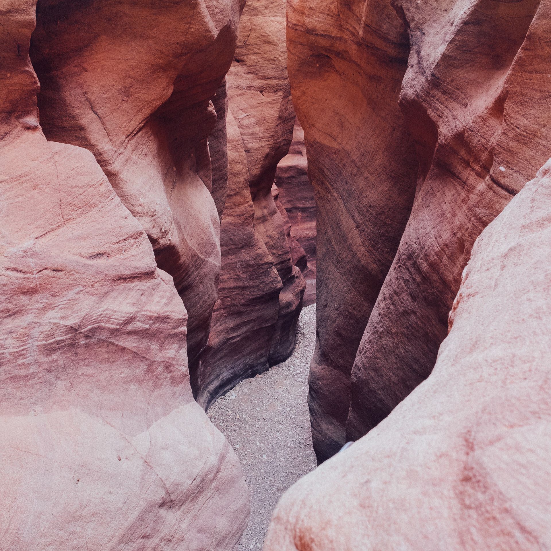 The red and orange hues of the sandstone canyon walls are highlighted by the contrast of the light and shadow - Indie