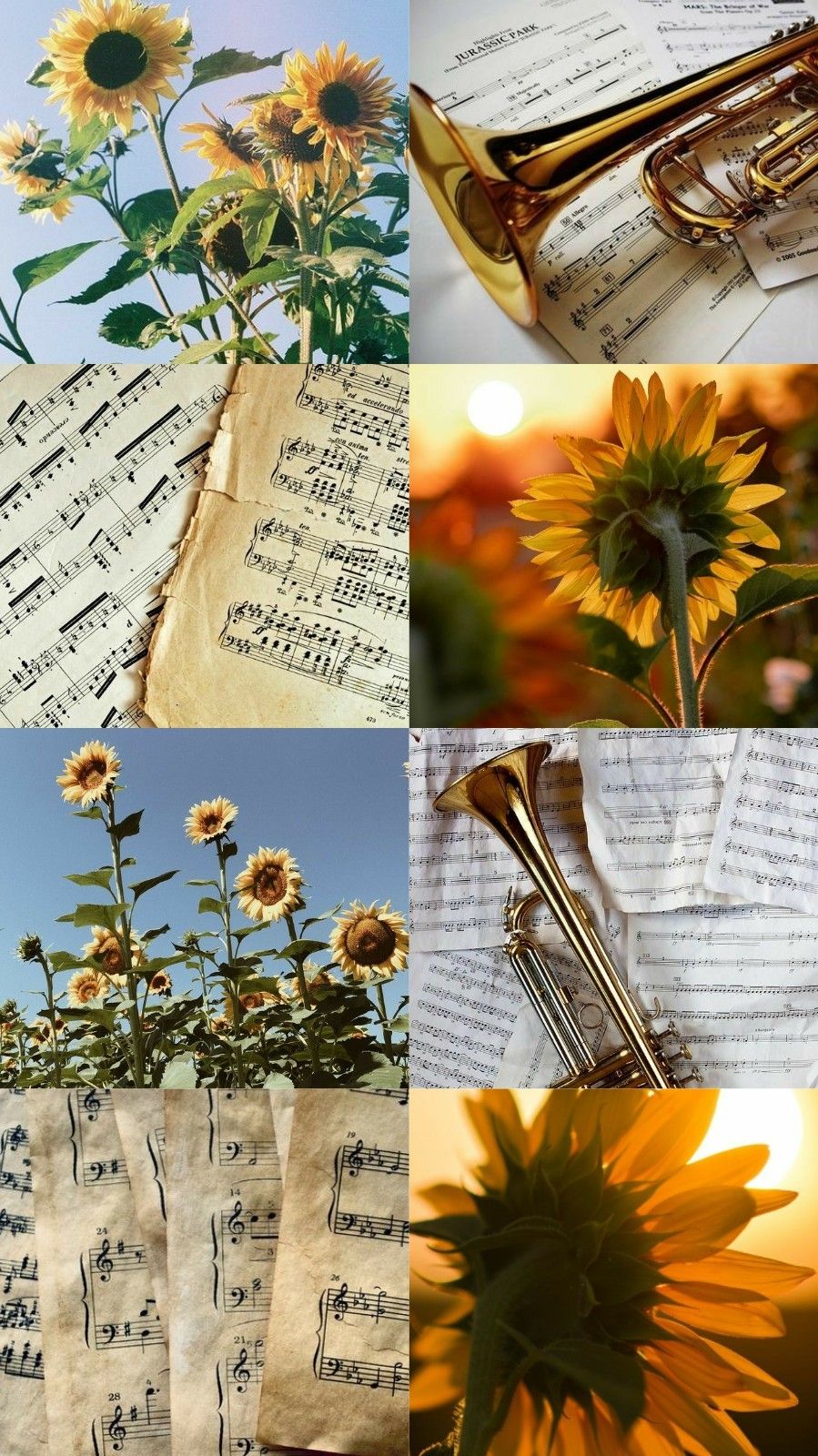 A collage of sunflowers, sheet music, and a trumpet. - Sunflower