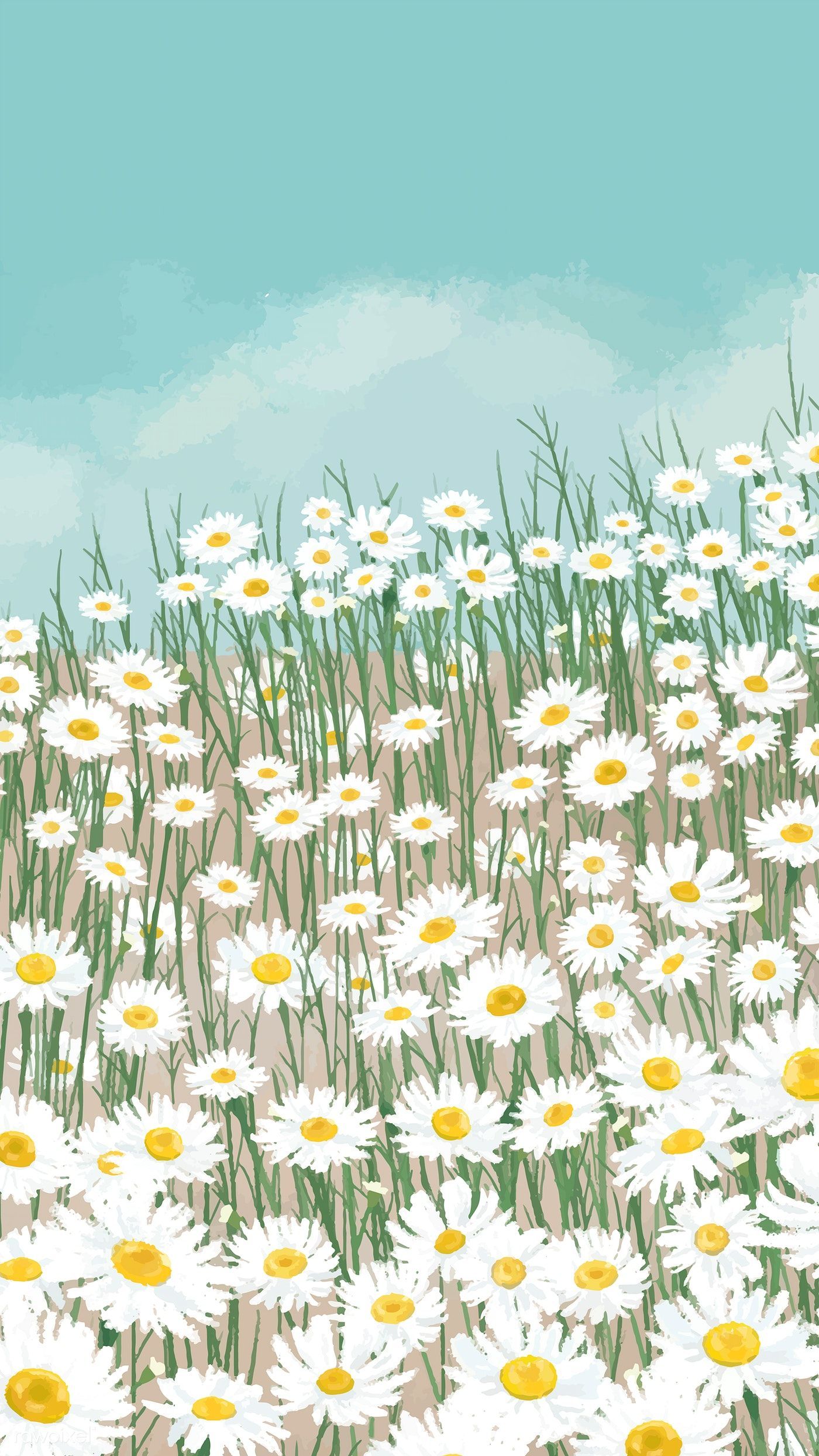 IPhone wallpaper of a field of daisies - Spring, daisy, illustration