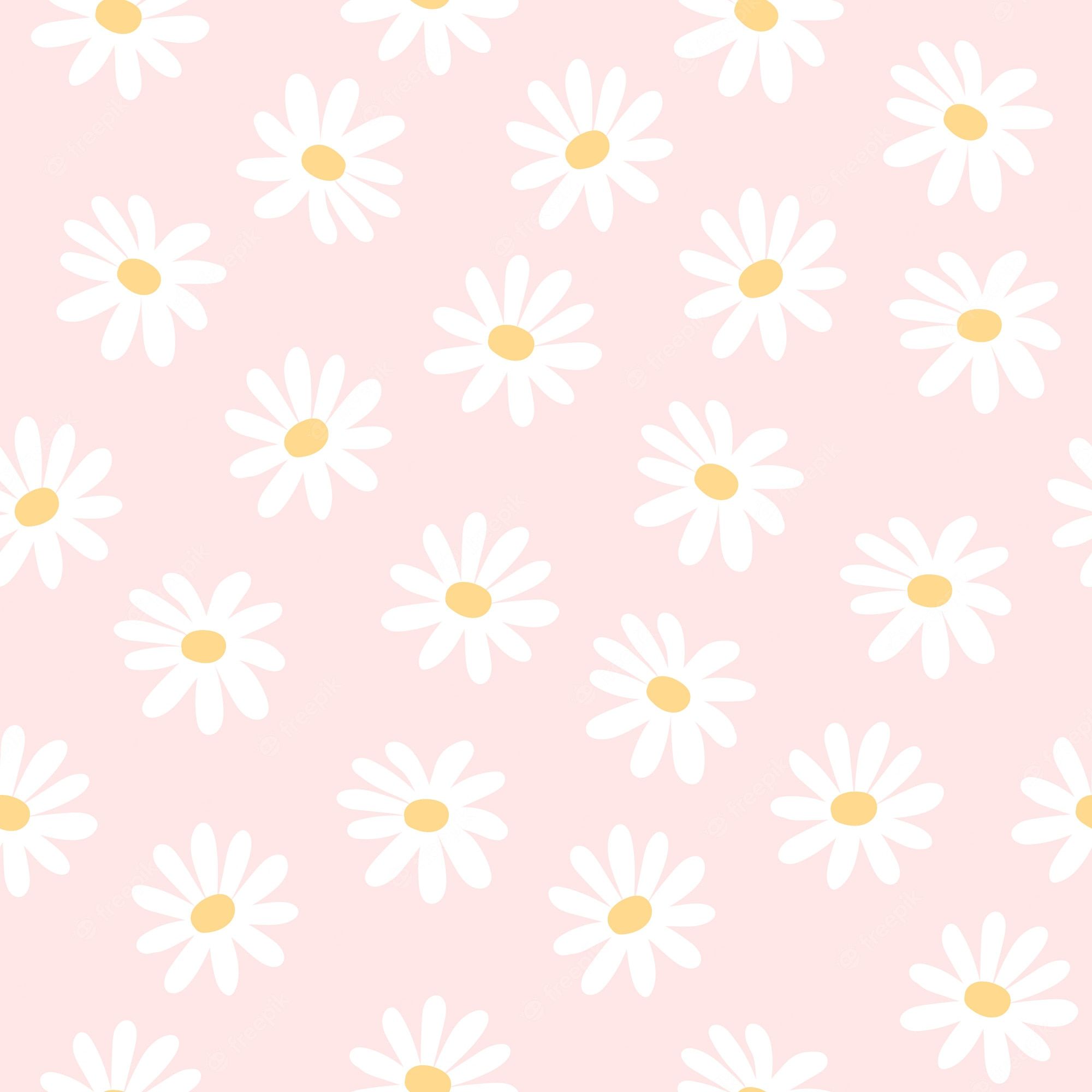 Daisy Background Image