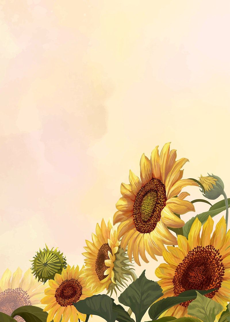 Illustration of a group of sunflowers - Sunflower