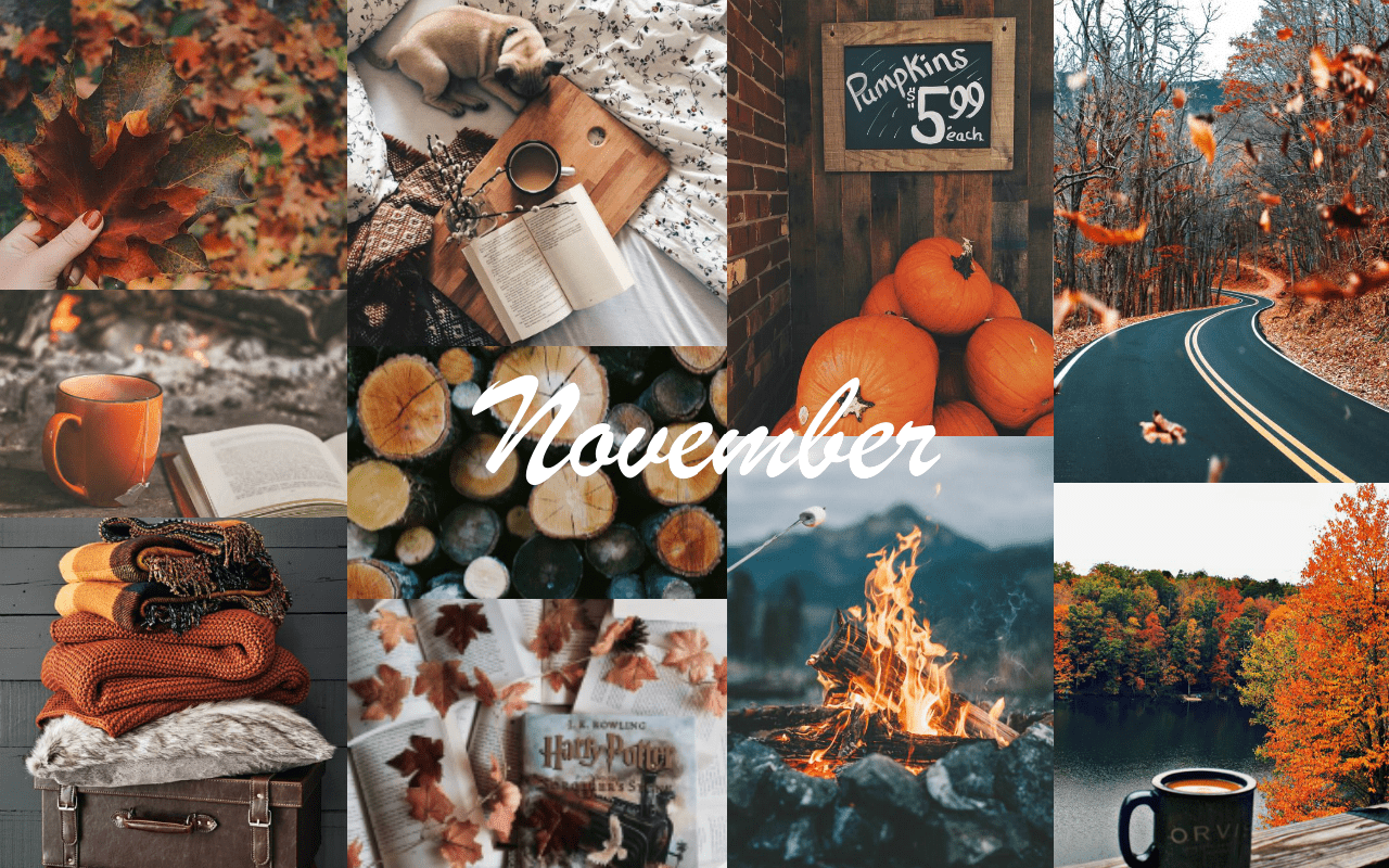 November wallpaper, aesthetic, background, mood board, moodboard, october, october wallpaper, october aesthetic, october background, october mood board, october moodboard, fall, fall wallpaper, fall aesthetic, fall background, fall mood board, fall moodboard, autumn, autumn wallpaper, autumn aesthetic, autumn background, autumn mood board, autumn moodboard, pumpkins, leaves, road, book, coffee, sweater, blanket, Harry Potter, Harry Potter wallpaper, Harry Potter aesthetic, Harry Potter background, Harry Potter mood board, Harry Potter moodboard, fire, bonfire, November wallpaper, November aesthetic, November background, November mood board, November moodboard, November mood board, November moodboard, November wallpaper, November aesthetic, November background, November mood board, November moodboard, November mood board, November moodboard, November wallpaper, November aesthetic, November background, November mood board, November moodboard, November mood board, November moodboard, November wallpaper, November aesthetic, November background, November mood board, November moodboard, November mood board, November moodboard, November wallpaper, November aesthetic, November background, November mood board, November moodboard, November mood board, November moodboard, November wallpaper, November aesthetic, November background, November mood board, November moodboard, November mood board, November moodboard, November wallpaper, November aesthetic, November background, November mood board, November moodboard, November mood board, November moodboard, November wallpaper, November aesthetic, November background, November mood board, November moodboard, November mood board, November moodboard, November wallpaper, November aesthetic, November background, November mood board, November moodboard, November mood board, November moodboard, November wallpaper, November aesthetic, November background, November mood board, November moodboard, November mood board, November moodboard, November wallpaper, November aesthetic, November background, November mood board, November moodboard, November mood board, November moodboard, November wallpaper, November aesthetic, November background, November mood board, November moodboard, November mood board, November moodboard, November wallpaper, November aesthetic, November background, November mood board, November moodboard, November mood board, November moodboard, November wallpaper, November aesthetic, November background, November mood board, November moodboard, November mood board, November moodboard, November wallpaper, November aesthetic, November background, November mood board, November moodboard, November mood board, November moodboard, November wallpaper, November aesthetic, November background, November mood board, November mood - Fall, November