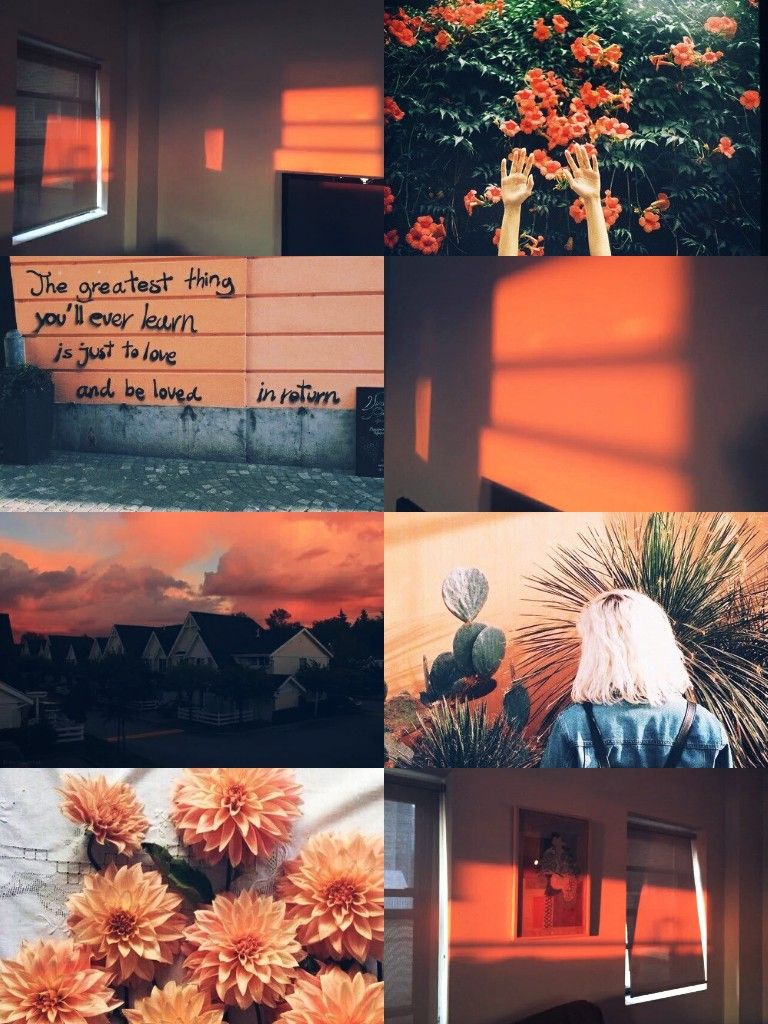 A collage of pictures with orange and pink colors - Orange, retro, neon orange, pastel orange