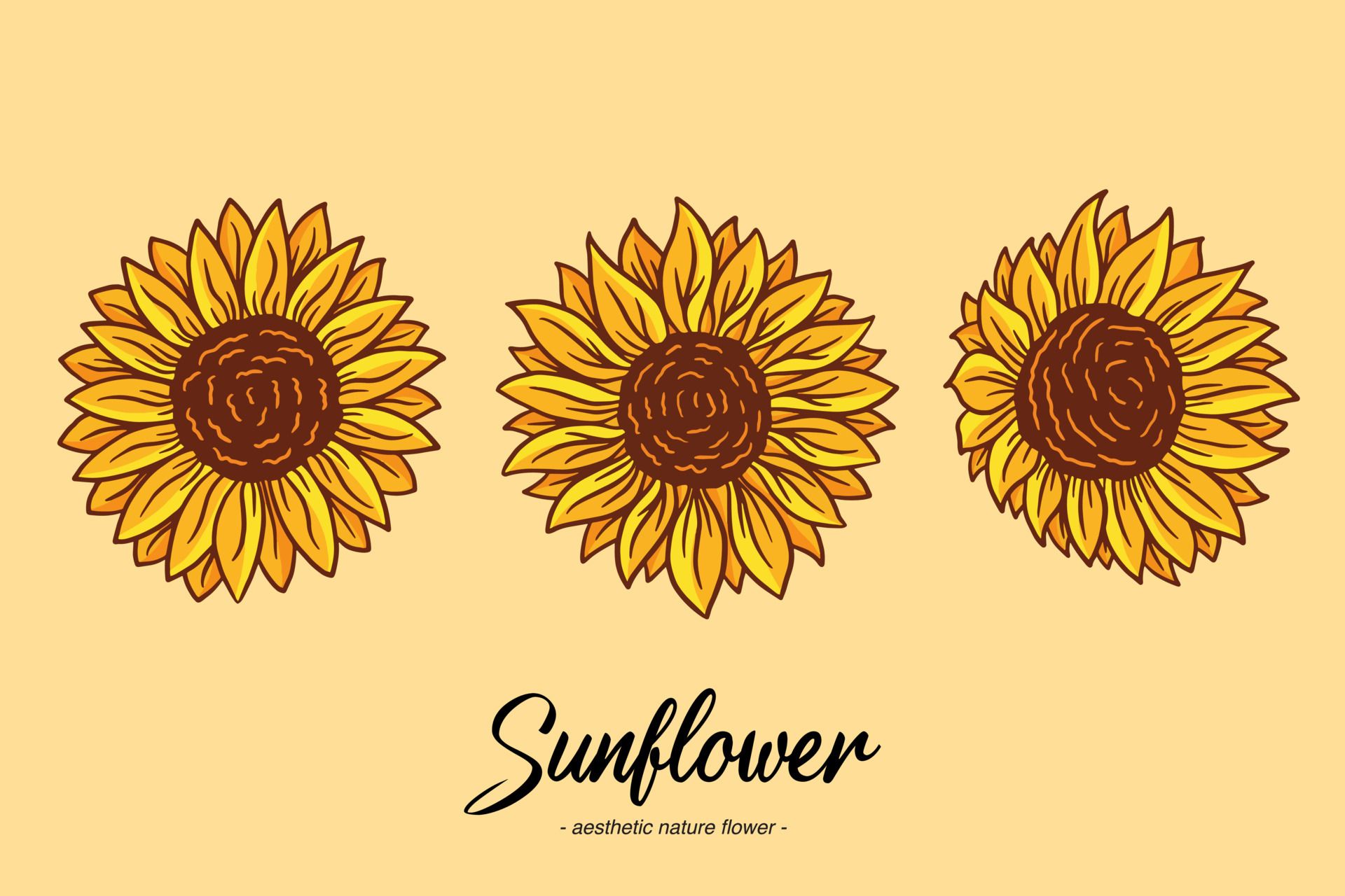 Three sunflowers on a yellow background - Sunflower