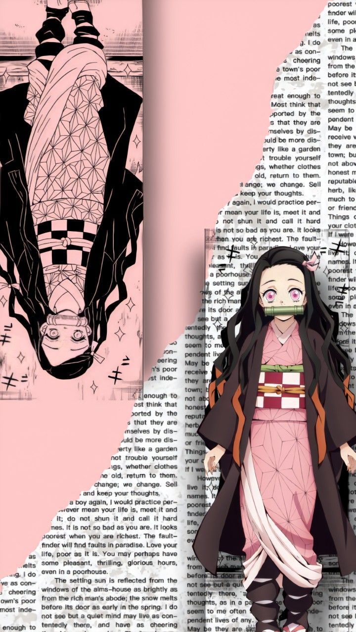 A picture of anime characters on the cover - Nezuko