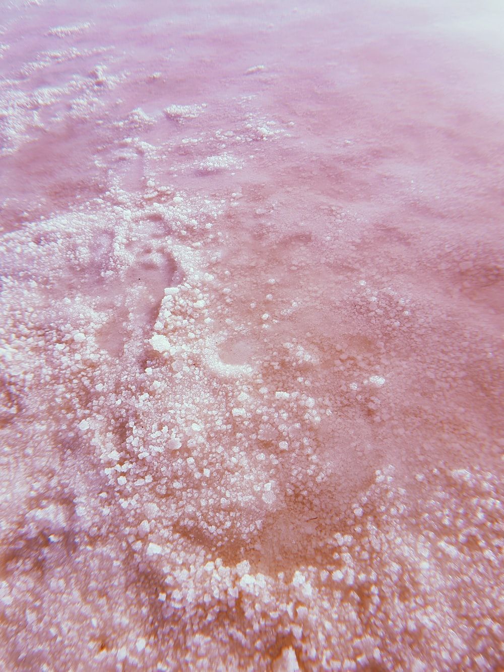 Pink Water Picture. Download Free Image