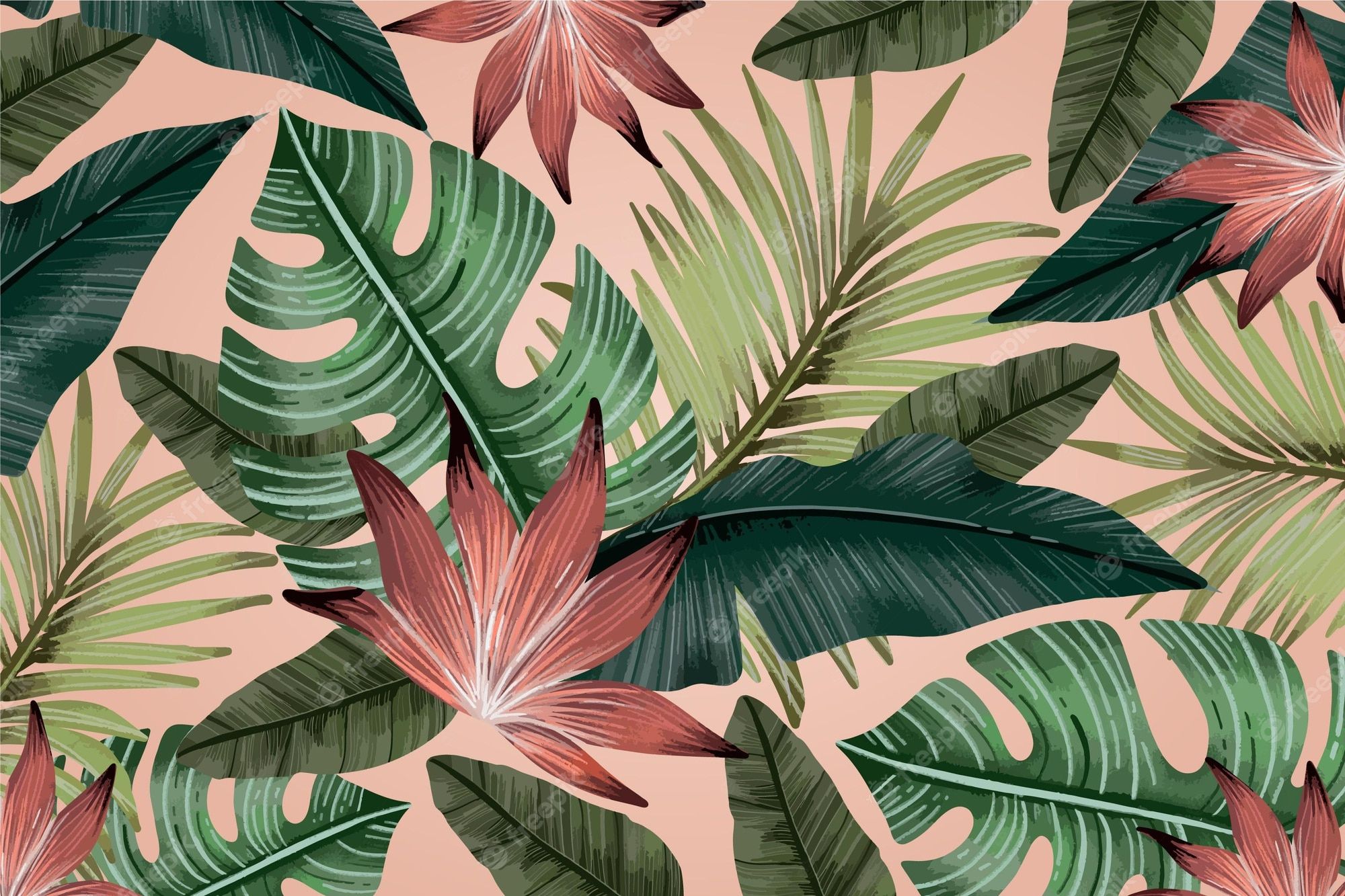 Tropical Wallpaper Image