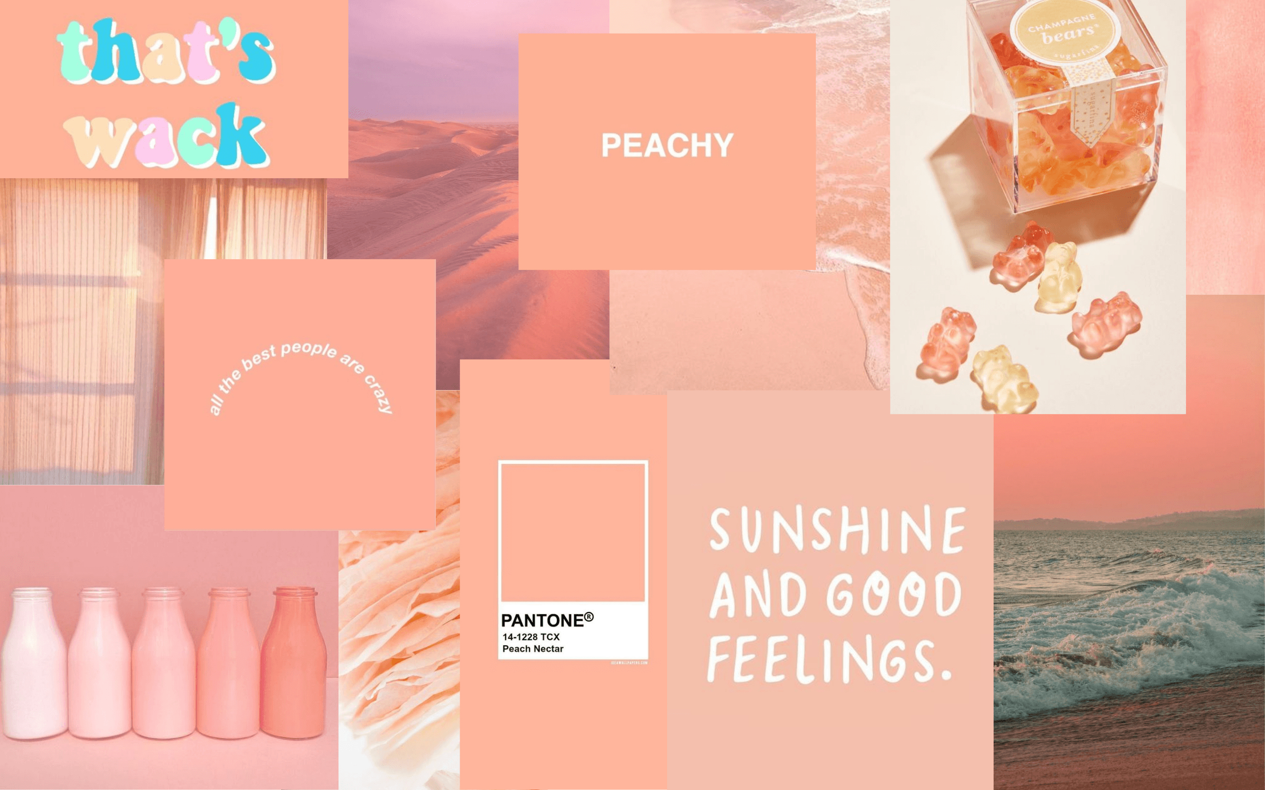 A collage of pink and orange colors - Peach, 2560x1600, champagne, sunshine