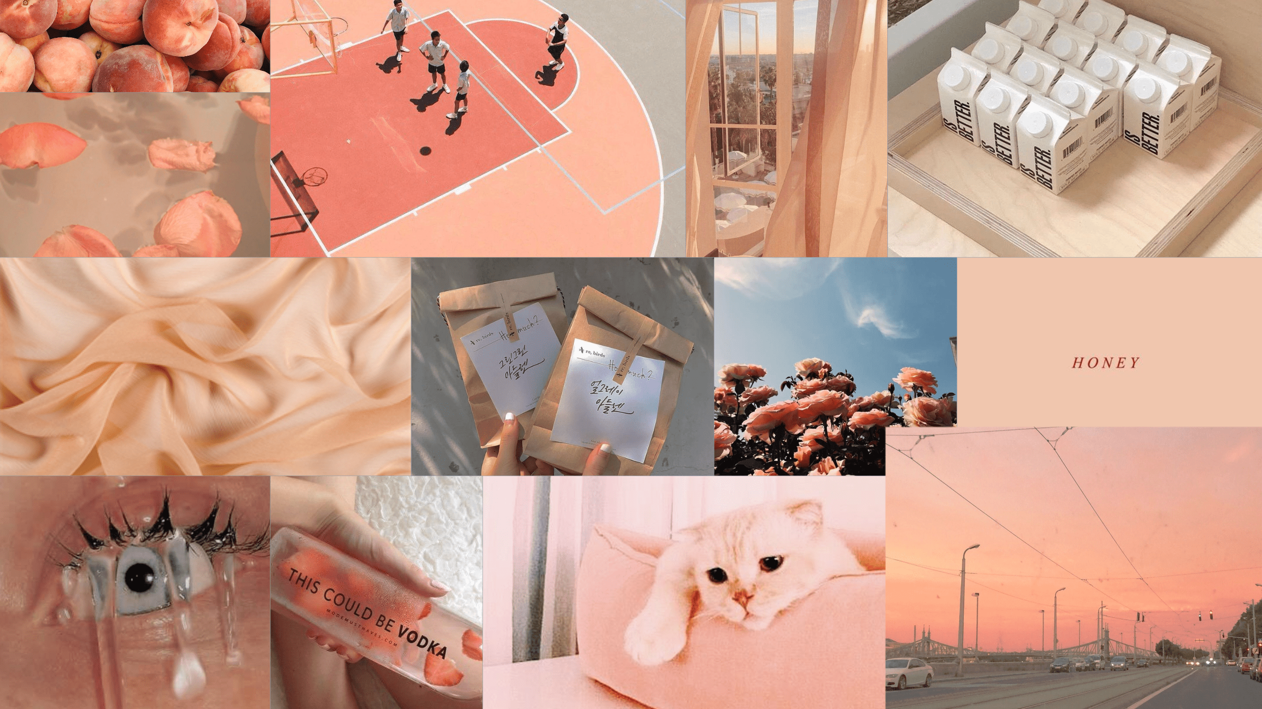 A collage of images including a basketball court, a sunset, a cat, and a t-shirt that says 