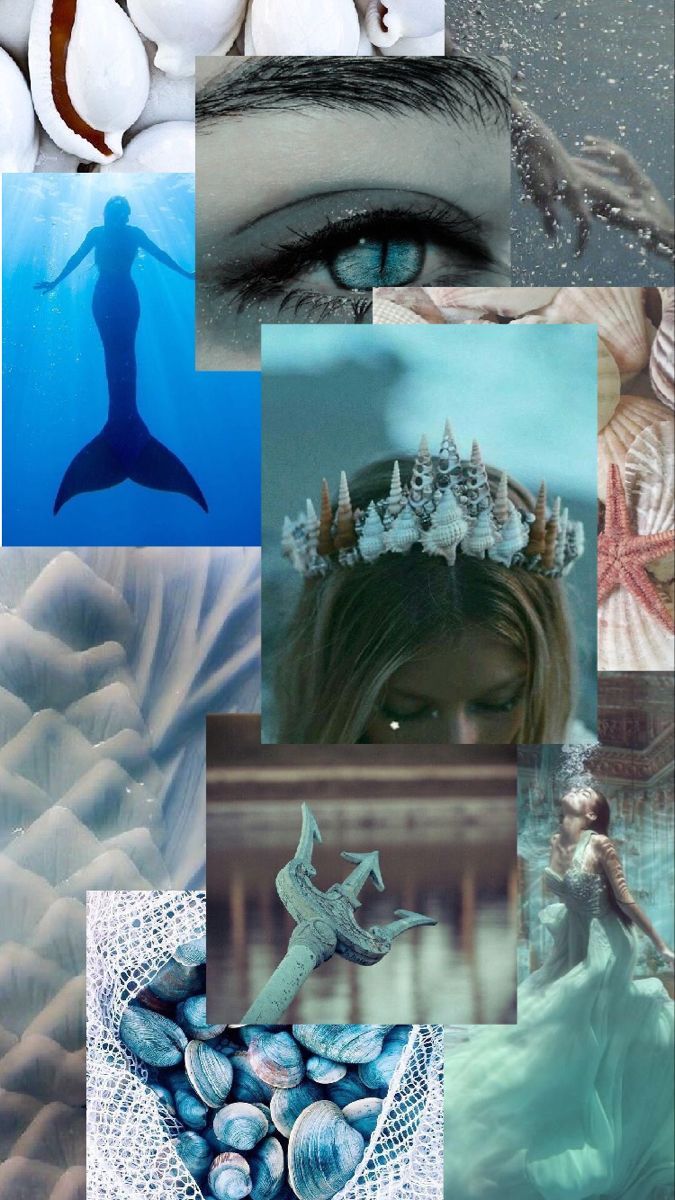 A collage of pictures with mermaids and shells - Mermaid