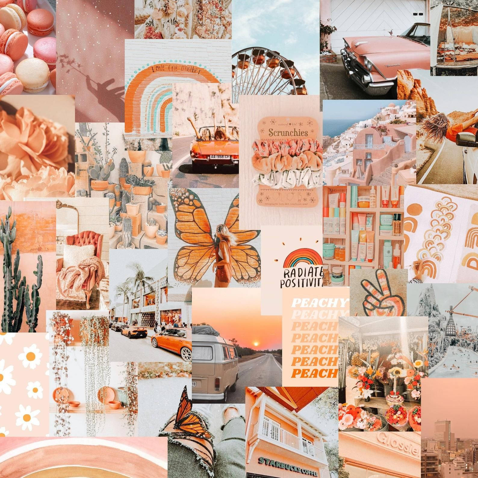 A collage of photos in a peach aesthetic - Peach