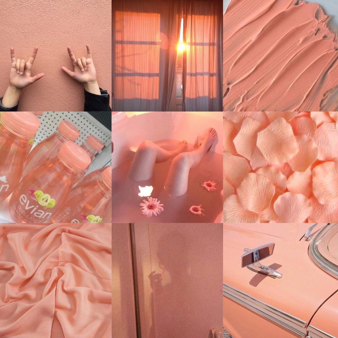 A collage of pictures that are pink - Peach