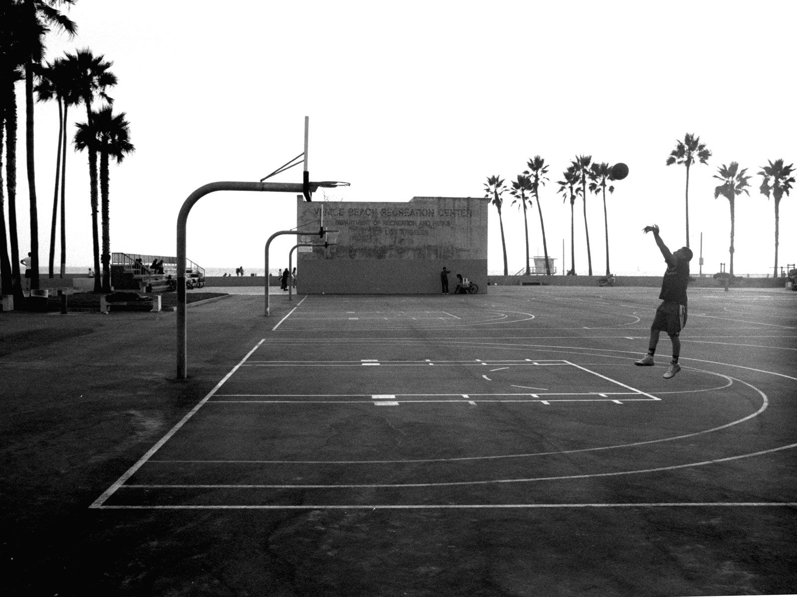 A man playing basketball on a court with palm trees in the background. - Basketball