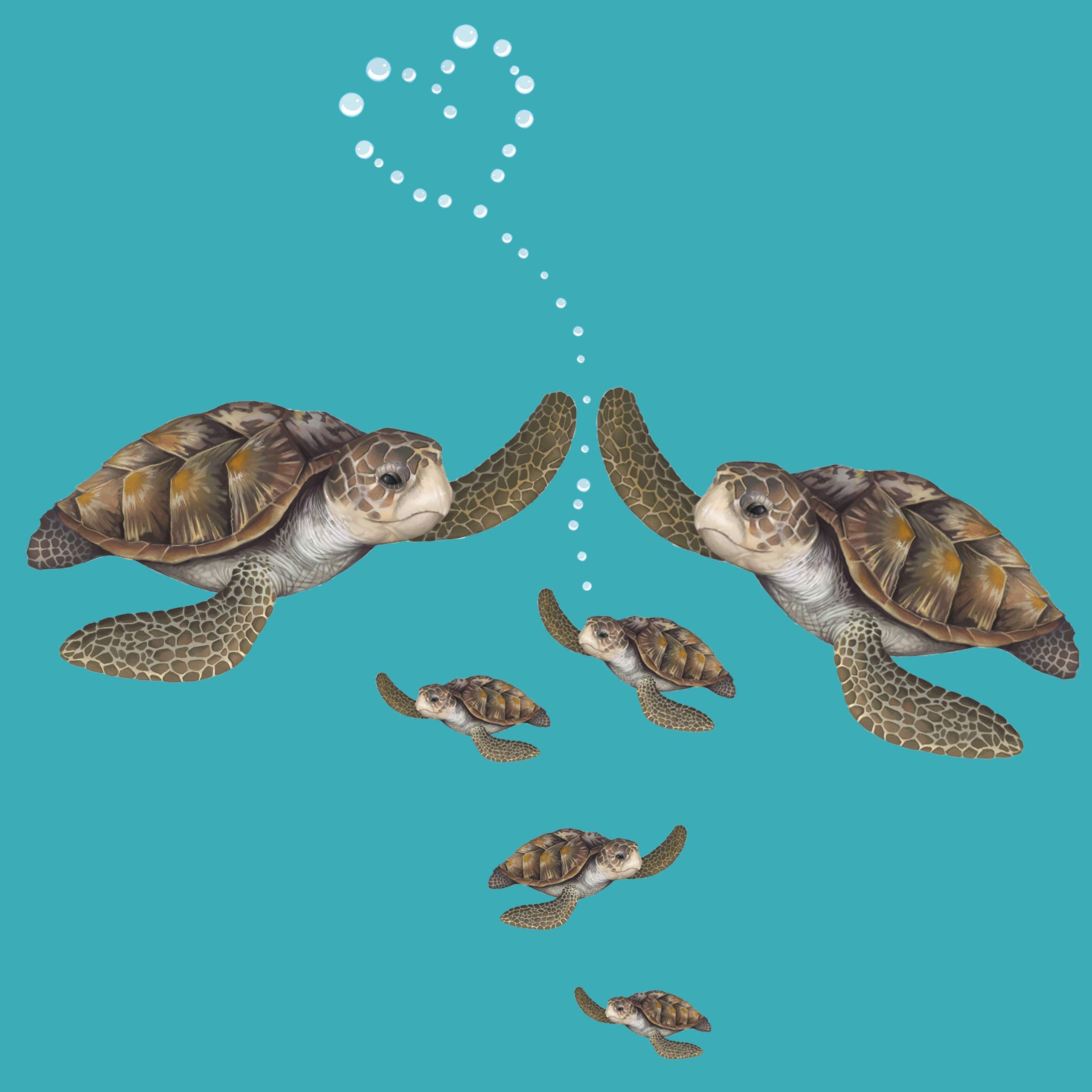 A family of turtles swims in the ocean. - Sea turtle