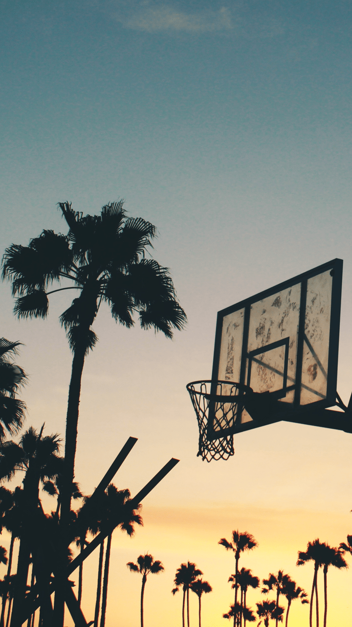 Basketball hoop with palm trees in the background - Basketball
