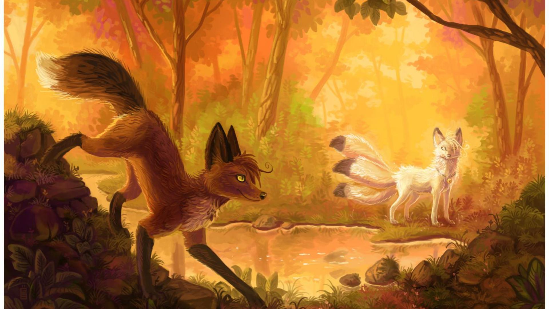 fox in woods