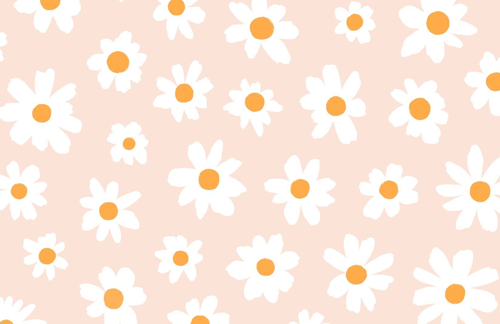 A pattern of daisies on pink background - Daisy, flower