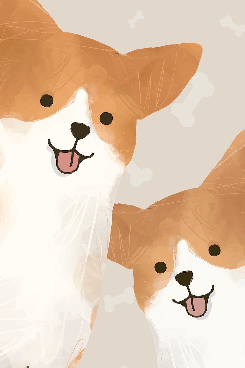 Corgi Image Wallpaper