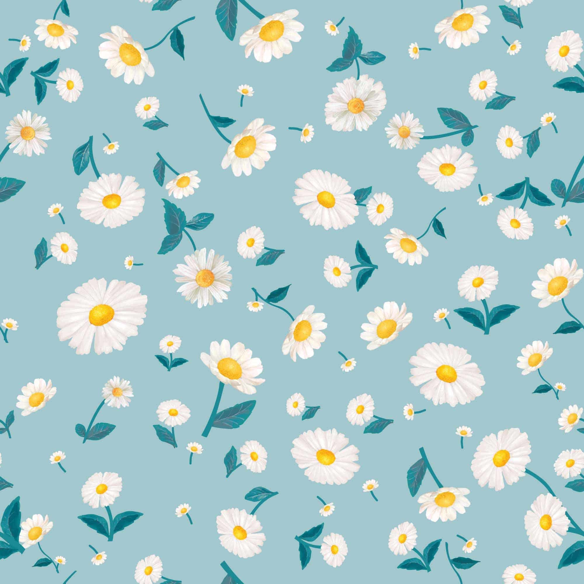 A pattern of white and yellow flowers on blue - Daisy