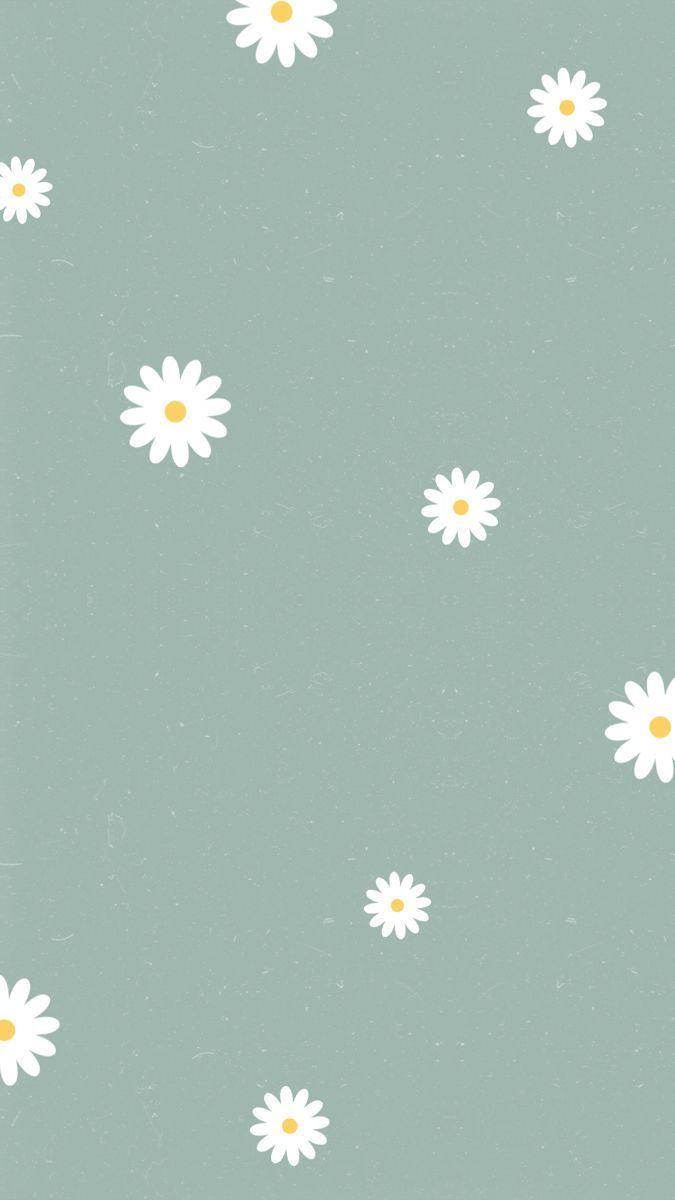 A pattern of white daisies on green background - Daisy